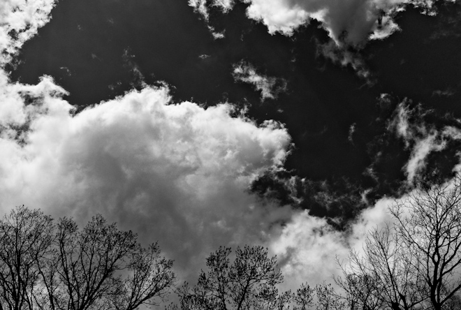 Trees and Clouds