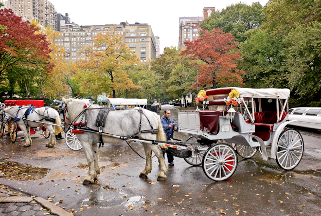 Central Park