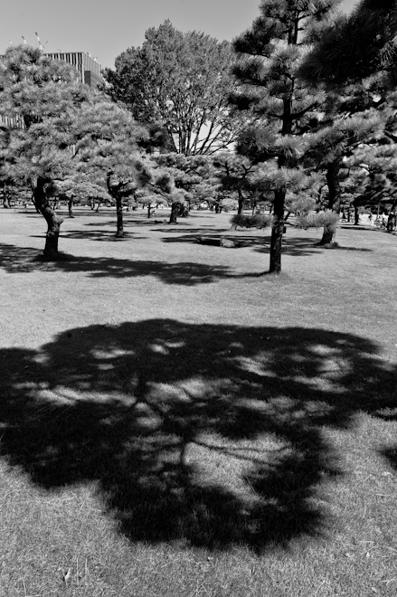 shady park near Imperial Palace