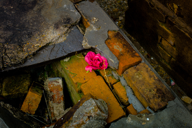 New Orleans Cemetery