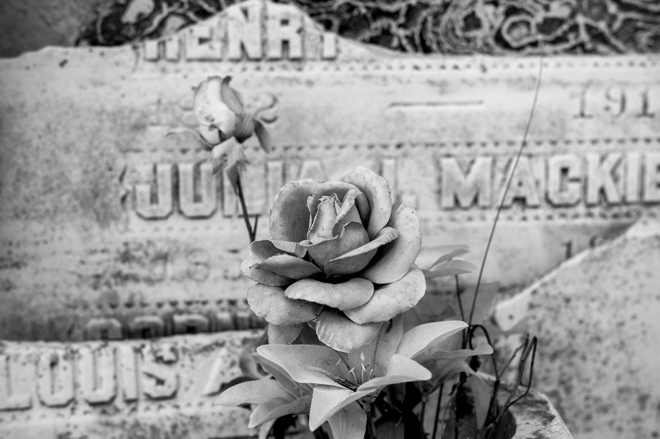 New Orleans Cemetery