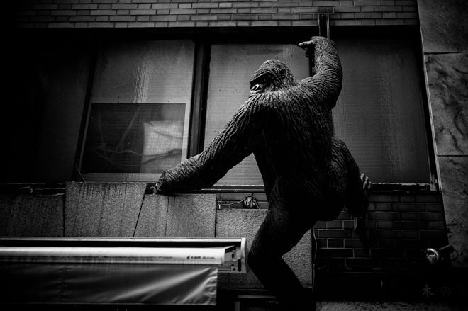 Kong in Tokyo